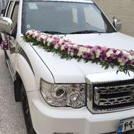 پادرا کارون عروسک