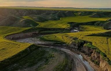 زمین زراعی چاه عمیق دار خط نو