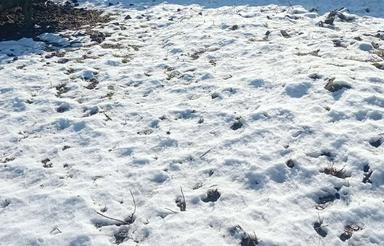 زمین 200متری احمدکلای بندپی شرقی