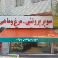 تعمیرات نصب بازویی وکالسکه ای