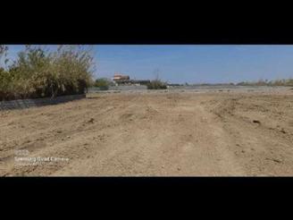 زمین کشاورزی 5,000 متری در دابودشت