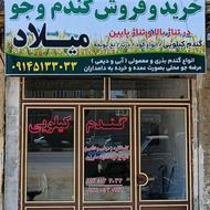 انواع دان پرندگان و خوراک مرغ گوشتی و تخمگذار
