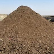 کودمرغی خوب