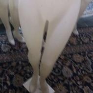 مانکن پا زنانه پلاستیکی