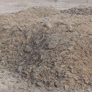 کود گوسفندی بدون اشغال فروشی