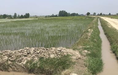 2600متر زمین واقعی تک برگ سند