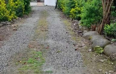 ویلای جنگلی فروشی