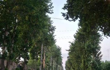 630 مترزمین تجاری مسکونی در شهریار شهرک بهاران