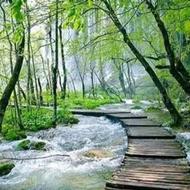 طبیعت گردی