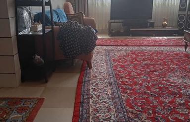 خانه ویلایی شمالی