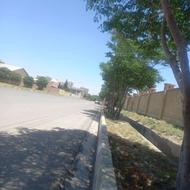 علف زدن باغ و حرص