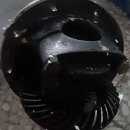 کله گاوی پژو روا