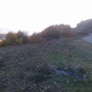 زمین واقع در روستای مصیب محله گلوگاه کنار جاده اسفالت