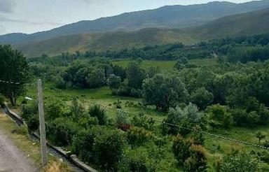 باغ نزدیکی سراب باحق آبه از متراژ 1000الی 3000خریدارم باقیمت