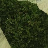 فروش کاکوتی