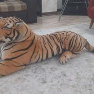 عروسک ببر بزرگ
