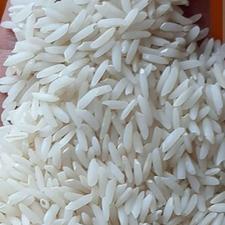 برنج طارم هاشمی