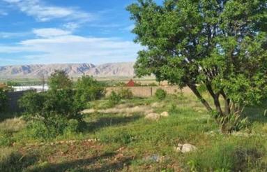 زمین باغ شهری