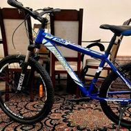 دوچرخه حرفه ای