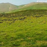 کاریگرساده به تعدادمردوزن