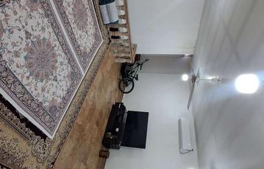 آرامشی بیاد ماندنی در قلب جنگل