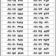 0911-8000-677