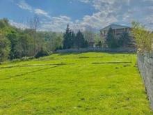 فروش زمین مسکونی 250 متر در بیشه کلا در شیپور