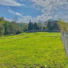 فروش زمین مسکونی 250 متر در بیشه کلا
