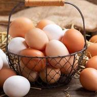 تخممرغ بومی و ارگانیک