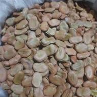 باقلا ‌خشک دامی