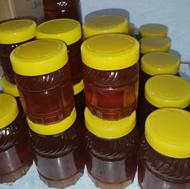 عسل طبیعی اکالیپتوس
