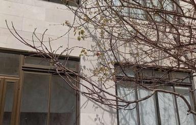 حیاط 150متر منصور چایکنار ششگلان امام عارف عباسی