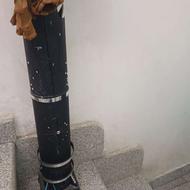 گلدان بلند درحدنو