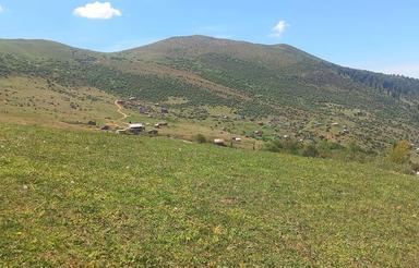 ییلاق برگسر کلبه چوبی فروشی