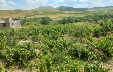 فروش 1200 متر باغ روستای حیران