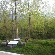 اجاره ی کوتاه مدت ویلا در لفور ، روستای بورخانی ، سیپه