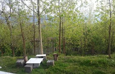 اجاره ی کوتاه مدت ویلا در لفور ، روستای بورخانی ، سیپه