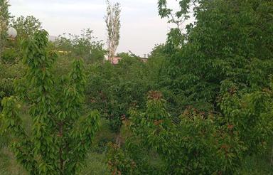 فروش 2100 متر باغ مسکونی
