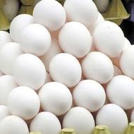 پخش عمده تخم مرغ صادراتی به قیمت مرغداری