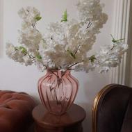 گل شکوفه بلند خارجی