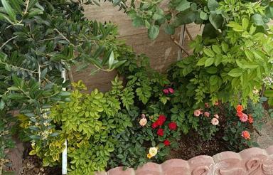 ملک ویلایی 160 متری110متر بنا