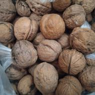 گردوی چرب وپرمغز