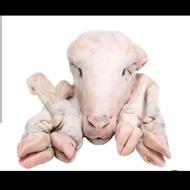 سلام تمیز کردن کله پاچه گوسفند