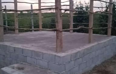 100 متر زمین. باغی.