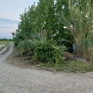 زمین 500 متری باغی