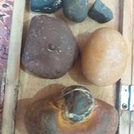 انواع سکه های قیمتی