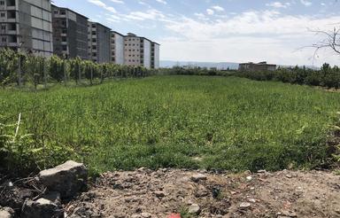 1250 متر زمین کشاورزی