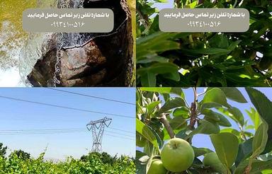 فروش فوری 25 جریب زمین کشاورزی
