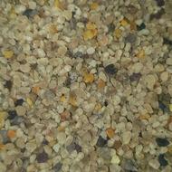 گرده گل تازه خشک شده
