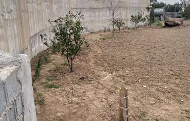 فروش زمین ویو ابدی